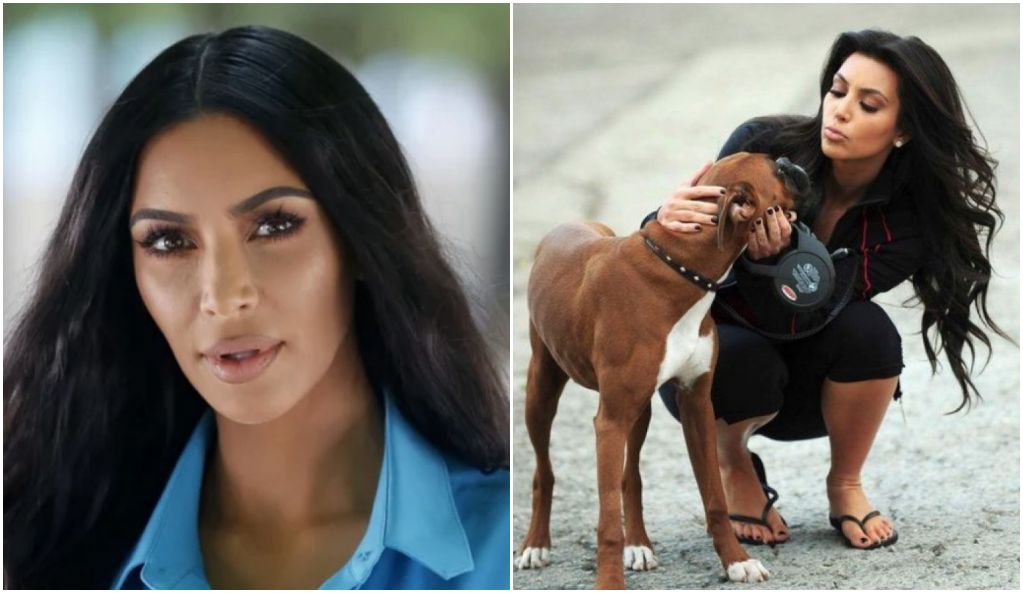 Kim Kardashian : elle dépense une somme incroyable pour ajouter… des faux testicules à son chien