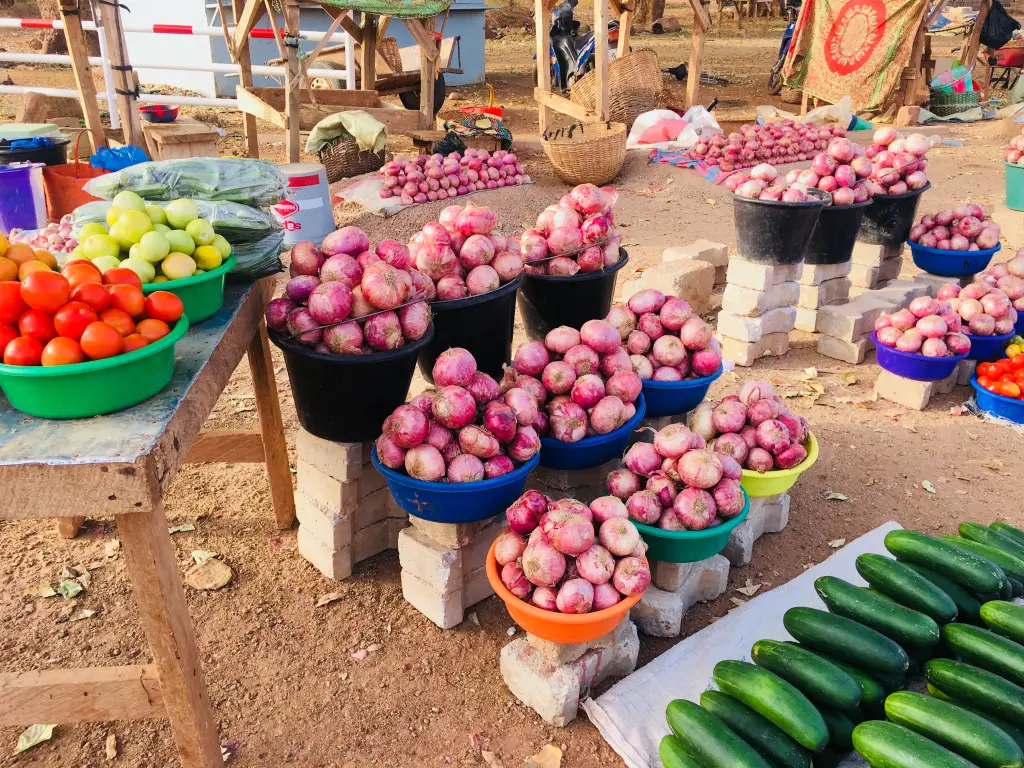 Oignon, la culture maraîchère la plus rentable au Burkina Faso