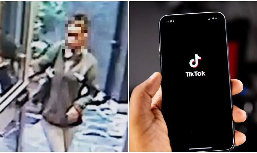 Meurtre De Lola : Les Internautes Trouvent Le TikTok De La Suspecte ...