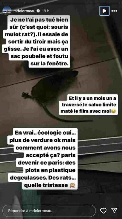 Matthieu Delormeau : apeuré, il réussi à capturer un rongeur dans son logement parisien